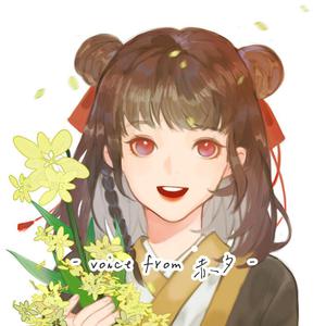 夜夜爽妓女视频
